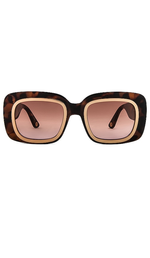 Cult Gaia Meira Sunglasses in Brown.