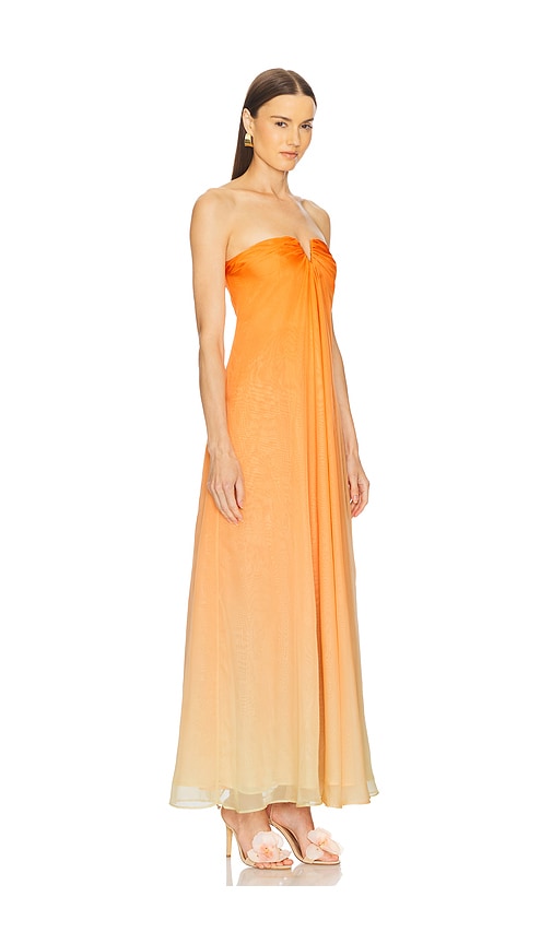 Cult Gaia Janelle Gown In Ombre