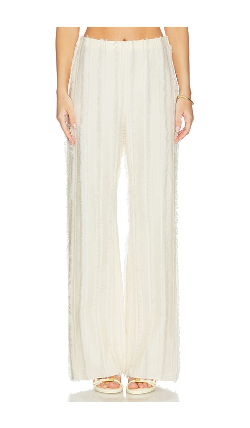 Ary Pant