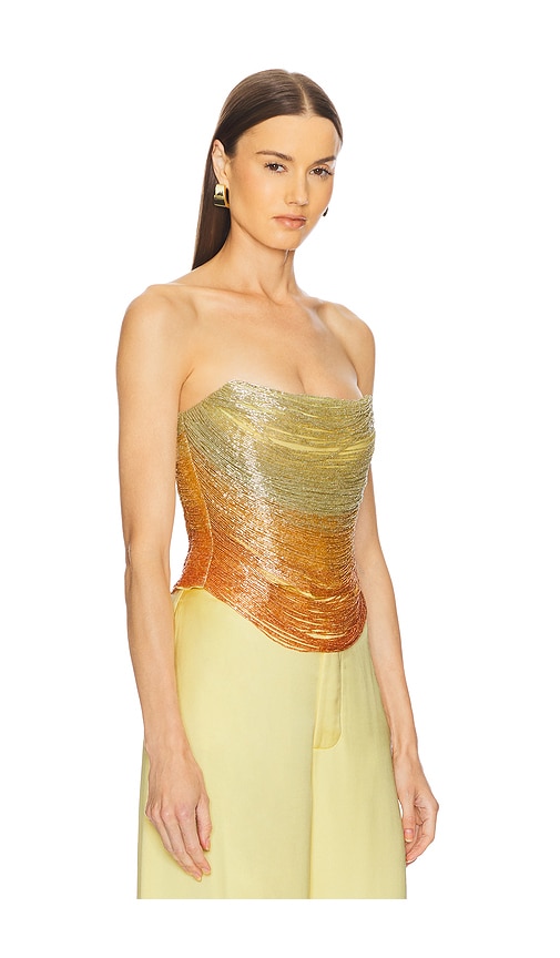 Cult Gaia Pandora Top In Ombre