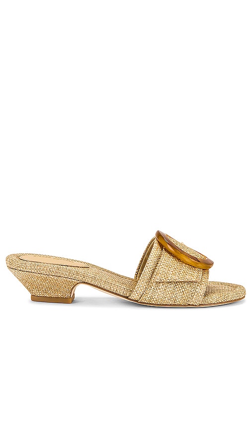 Cult Gaia Nelly Sandal in Natural | REVOLVE
