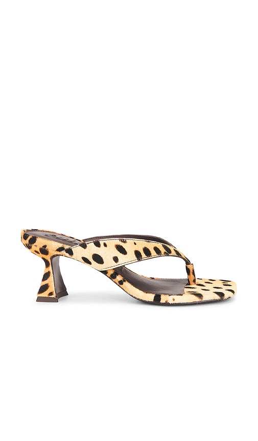 Abi Sandal