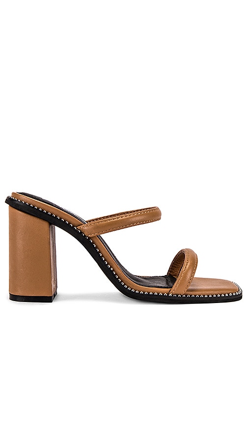 Sandy Mule