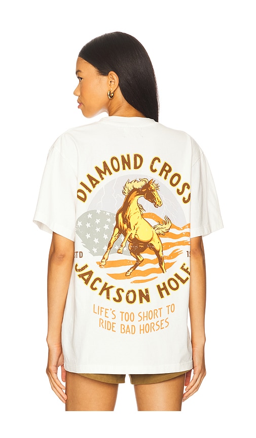 Diamond Cross Ranch American Horse