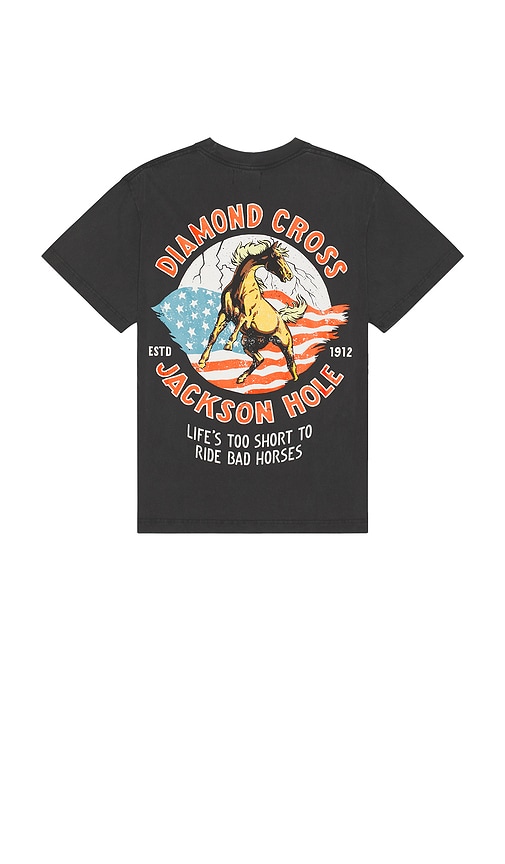 Diamond Cross Ranch American Horse