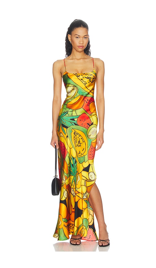 Donde Esteban Frutas Silk Satin Long Dress