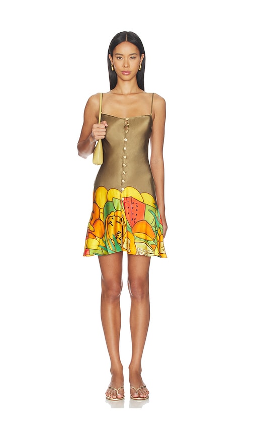 Donde Esteban Frutas Silk Satin Mini Dress