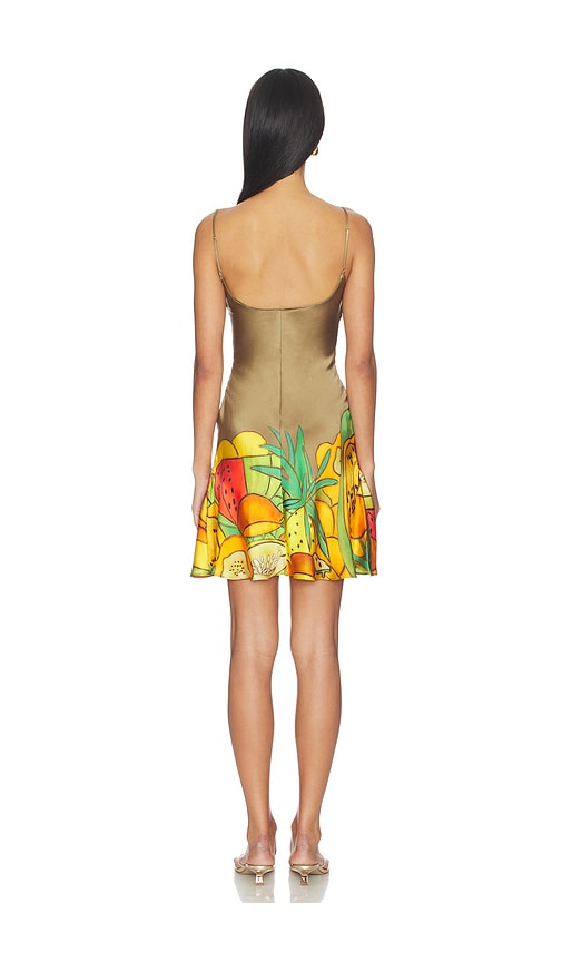  Donde Esteban Minikleid Frutas In Metallic Gold,orange. Größe Xs. Also In S. 