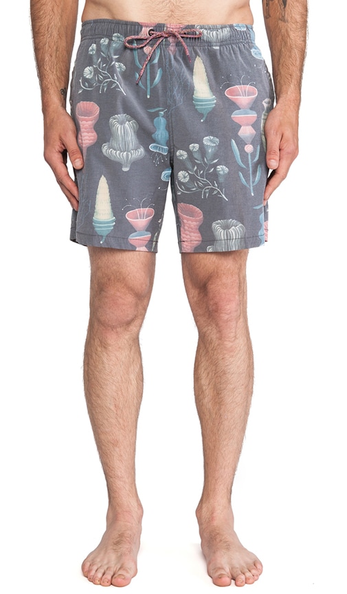 Bates Bjorn Boardshort