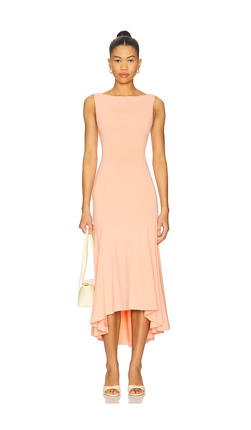Daye Midi Dress in Coral. - size XS (also in L, M, S, XL, XXS)