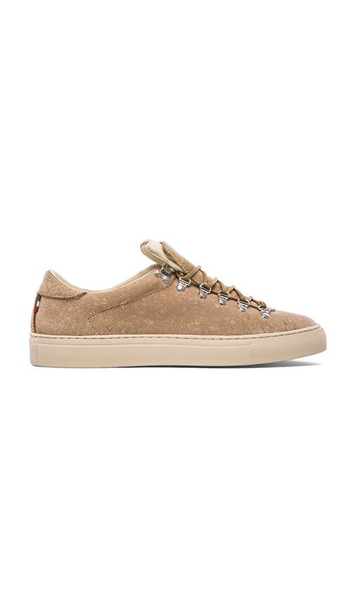 Marostica Low Bokhara Antelope