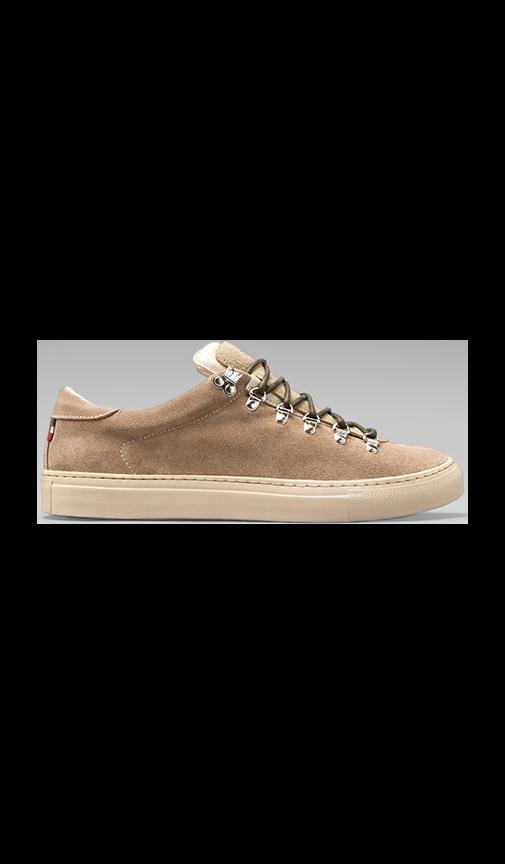 Marostica Low Sneaker