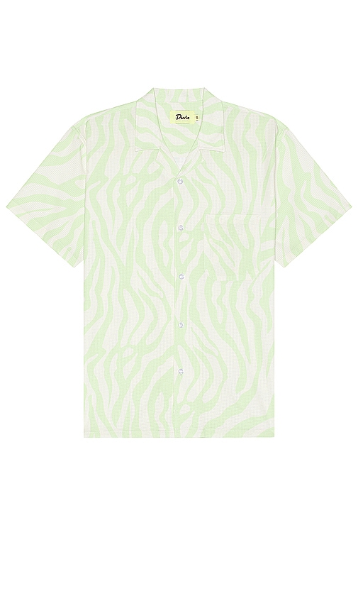 Duvin Design Zebra Shirt In Keylime