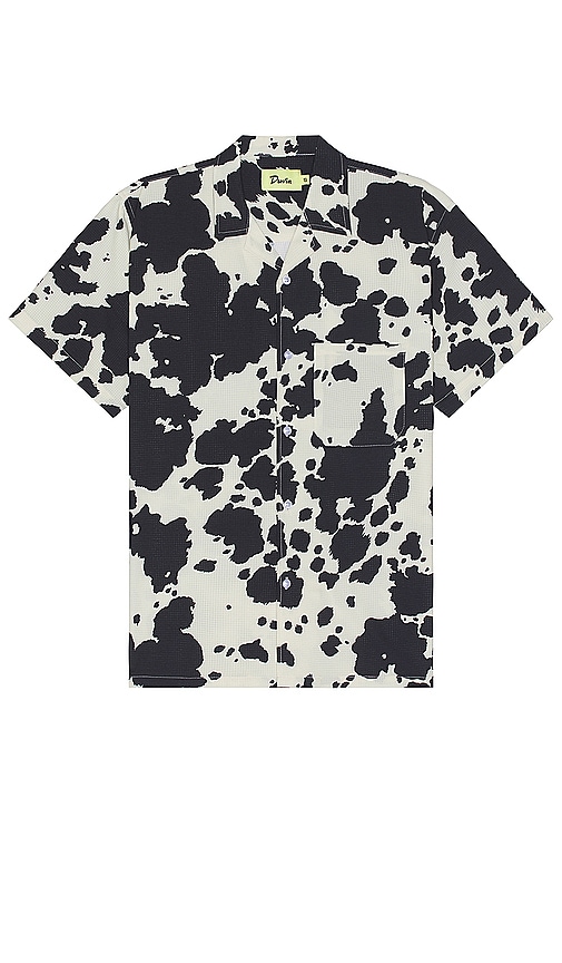 Duvin Design Cow Shirt In 黑色、白色