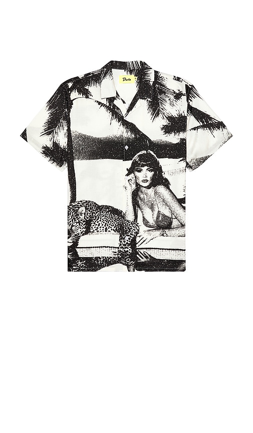Pool Cat Buttonup Shirt in Black. - size XL/1X (also in L, M, S)
