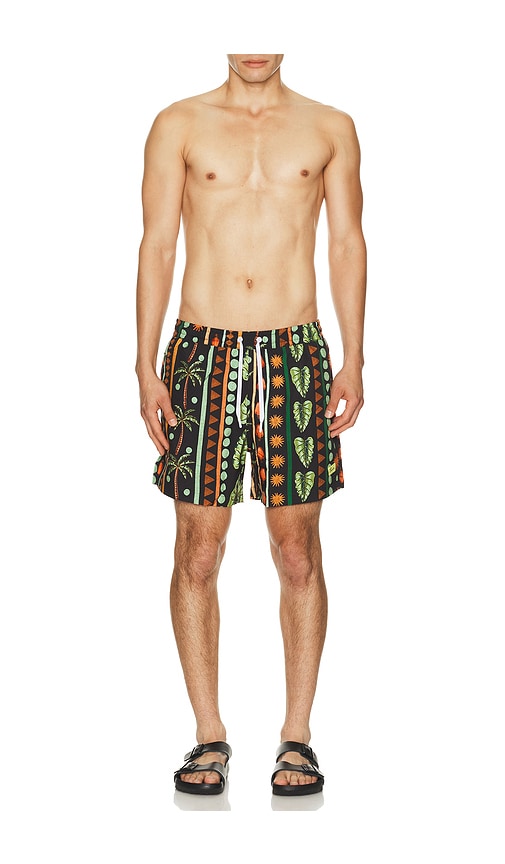  Duvin Design Badeshorts Jungle In Green. Größe S. Also In M, L, Xl/1x. 