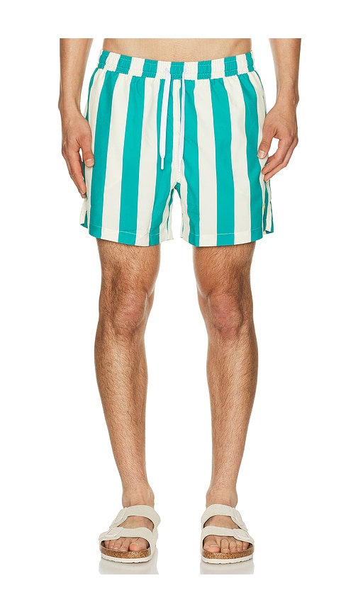 Duvin Design Travel Swim Shorts