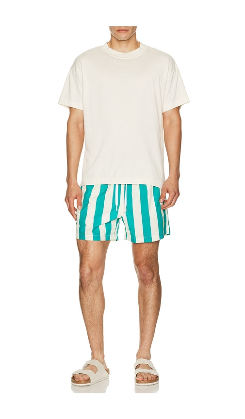  Duvin Design Badeshorts Travel In Cream,green. Größe S. Also In M, L, Xl/1x. 