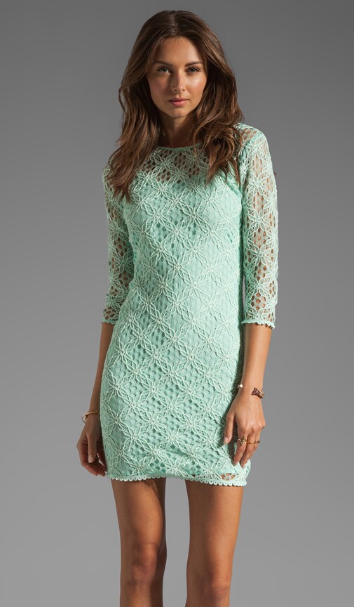 Cat Crochet Lace Long Sleeve Dress