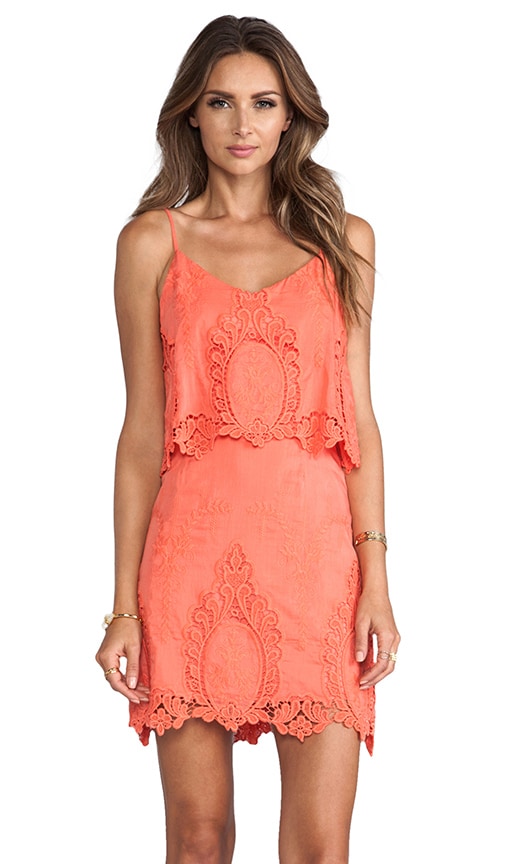 Jeralyn Petticoat Embroidery Mini Dress