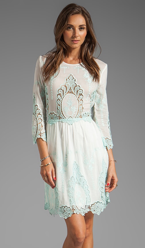 Valentina Petticoat Embroidery Long Sleeve Dress