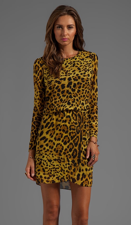 Leppie Colored Leopard Dress