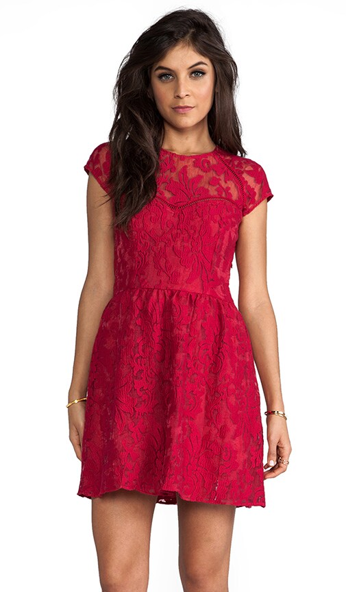 Winsor Organza Lace Dress