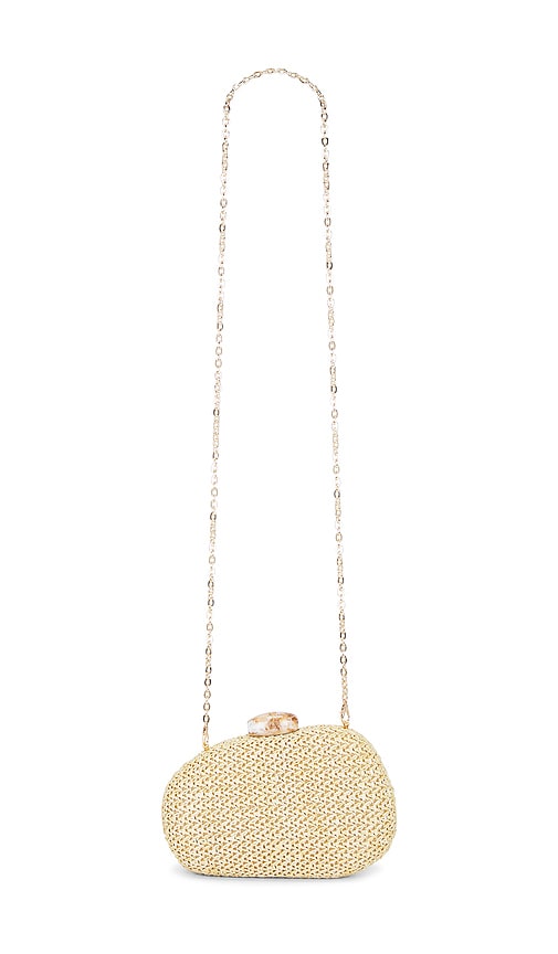 Dolce Vita POCHETTE DIONNE en Neutral 137 €
