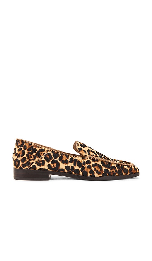 Dolce Vita Beny Loafer in Dk Leopard