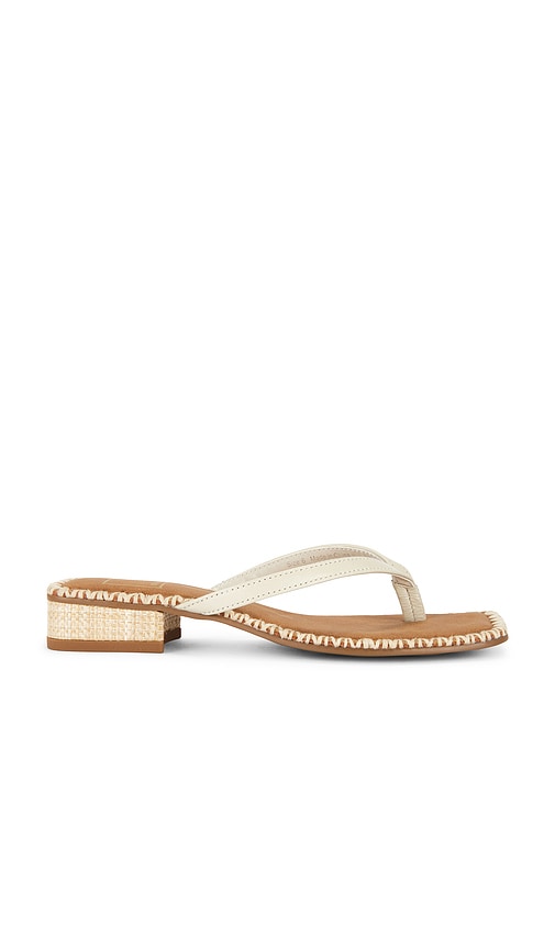 Dolce Vita Barty Thong Sandal