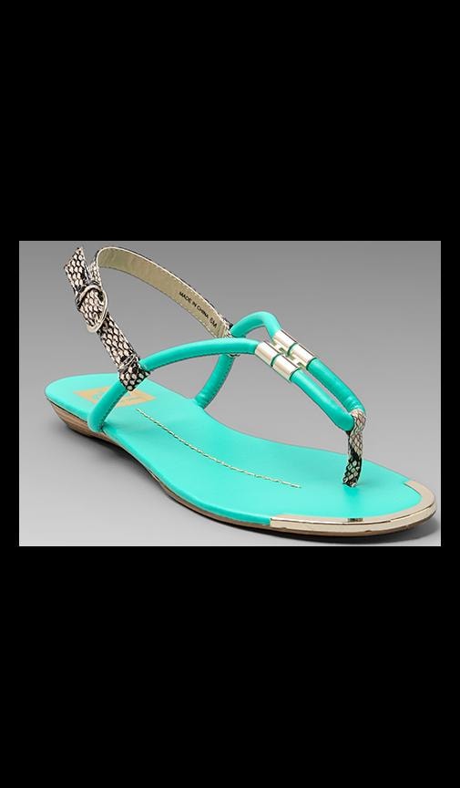 Ayden Sandal