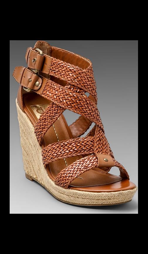 Taylor Wedge