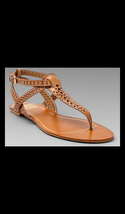 Irina Sandal
