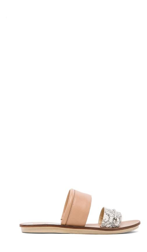 Neary Sandal