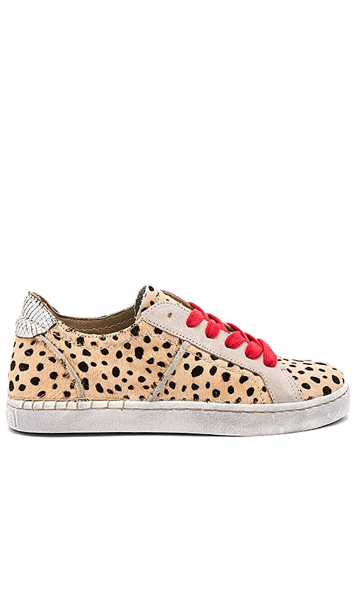 dolce vita cheetah sneakers