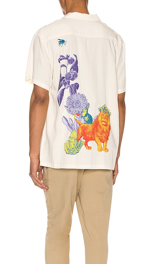 Hawaiian Shirt