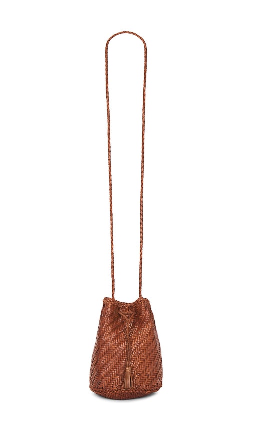 Dragon Diffusion Pompom Double Jump Bag In Brown