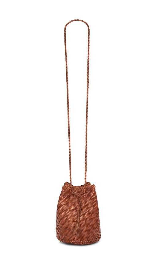 Dragon Diffusion Pompom Double Jump Bag In Brown