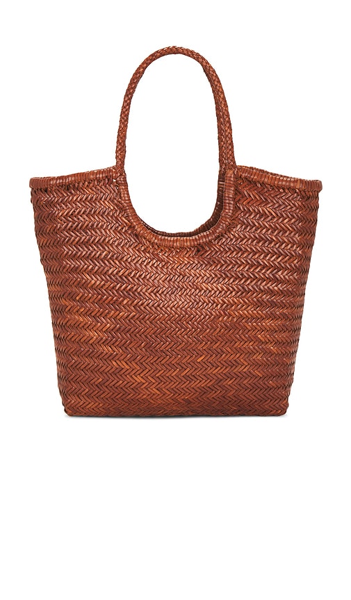 Dragon Diffusion Ns Triple Jump Bag In Brown