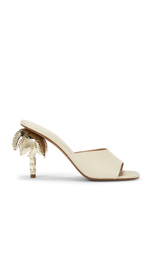 Duha Palmira Mule