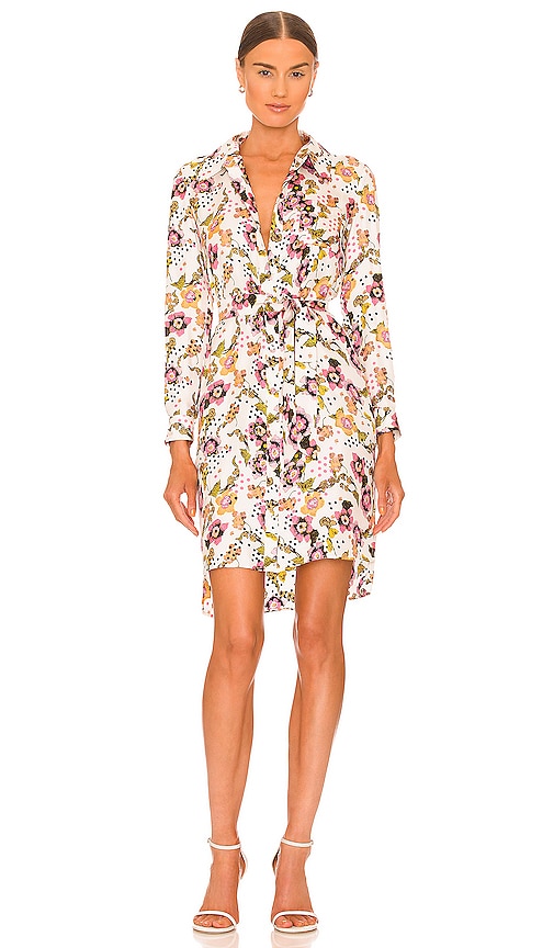 Diane von Furstenberg Prita Dress in Freckled Floral Small Ivory | REVOLVE