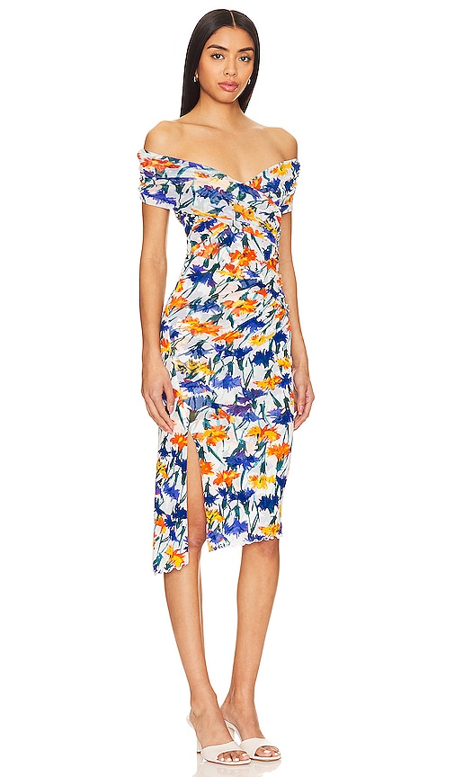 Shop Diane Von Furstenberg Lovinia Dress In Dianthus & Ivory