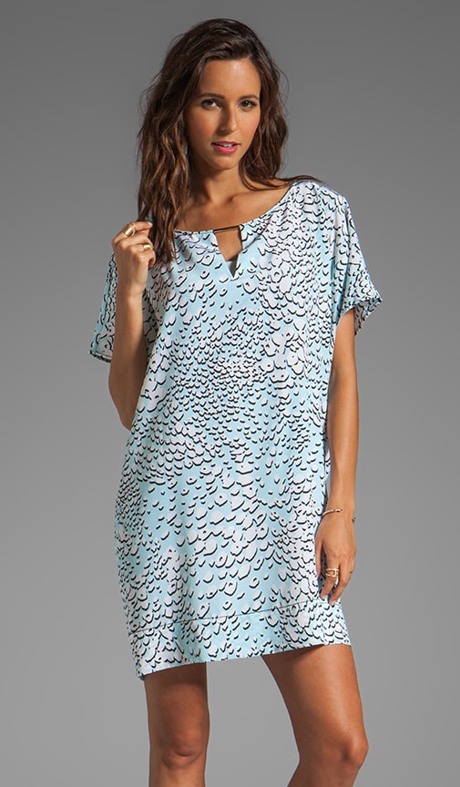 Beonica Dress