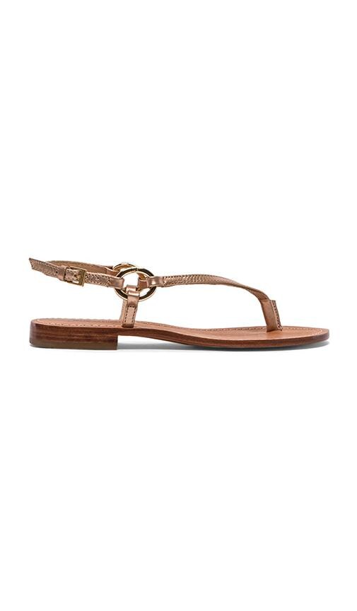 Cailin Sandal
