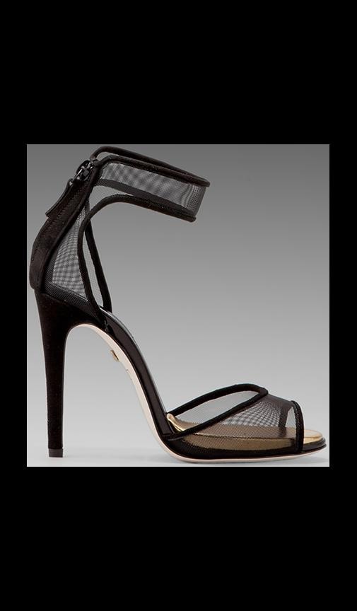 Rae Heel