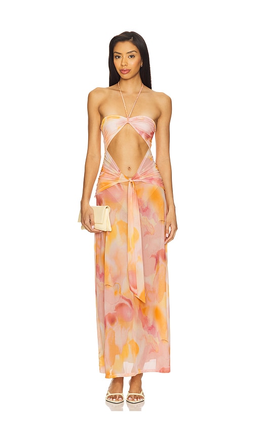 Devon Windsor Berrie Dress