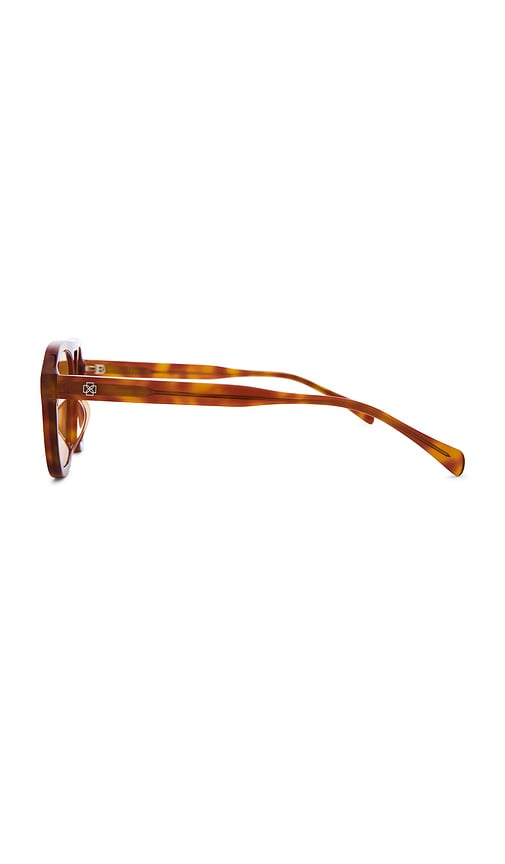  Devon Windsor Capri Sunglasses In Brown. 