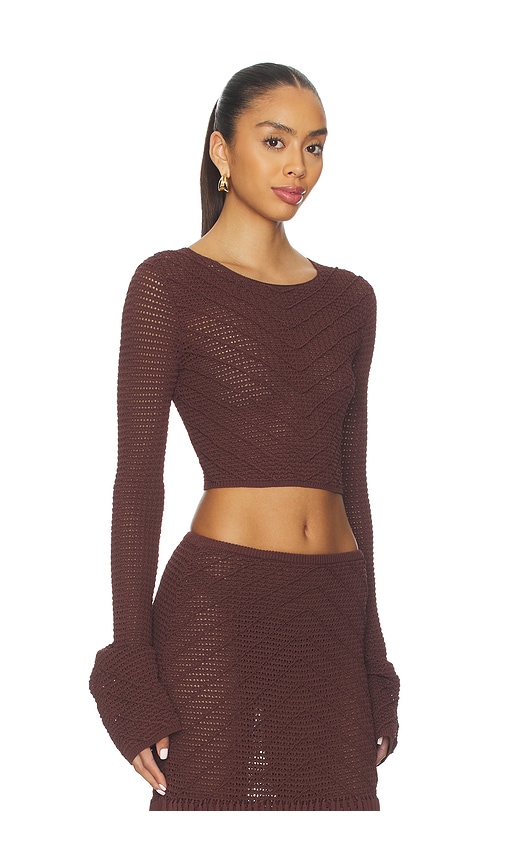 Devon Windsor Erin Longsleeve Top In Brown