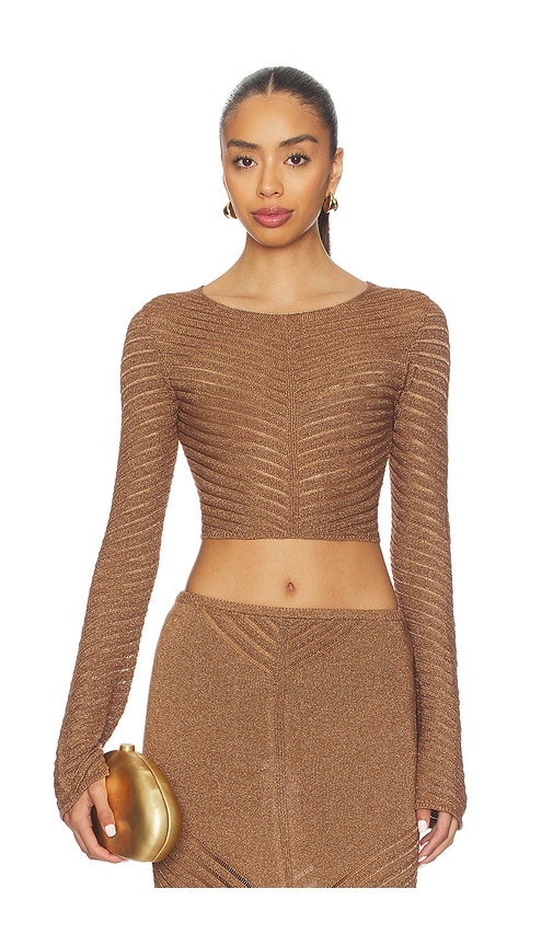 Devon Windsor Raya Metallic Top In Brown
