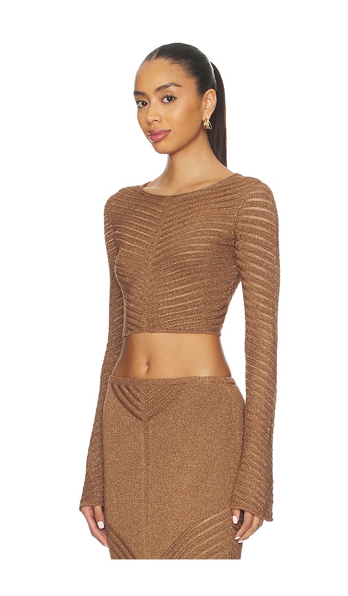 Devon Windsor Raya Metallic Top In Brown